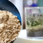 সবজা বীজ থেকে শুরু করে ছাতু, এই গ্রীষ্মে পেট ঠান্ডা রাখতে এই প্রথাগত খাবারগুলোকে অভ্যাসে পরিণত করুন