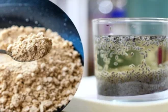 সবজা বীজ থেকে শুরু করে ছাতু, এই গ্রীষ্মে পেট ঠান্ডা রাখতে এই প্রথাগত খাবারগুলোকে অভ্যাসে পরিণত করুন