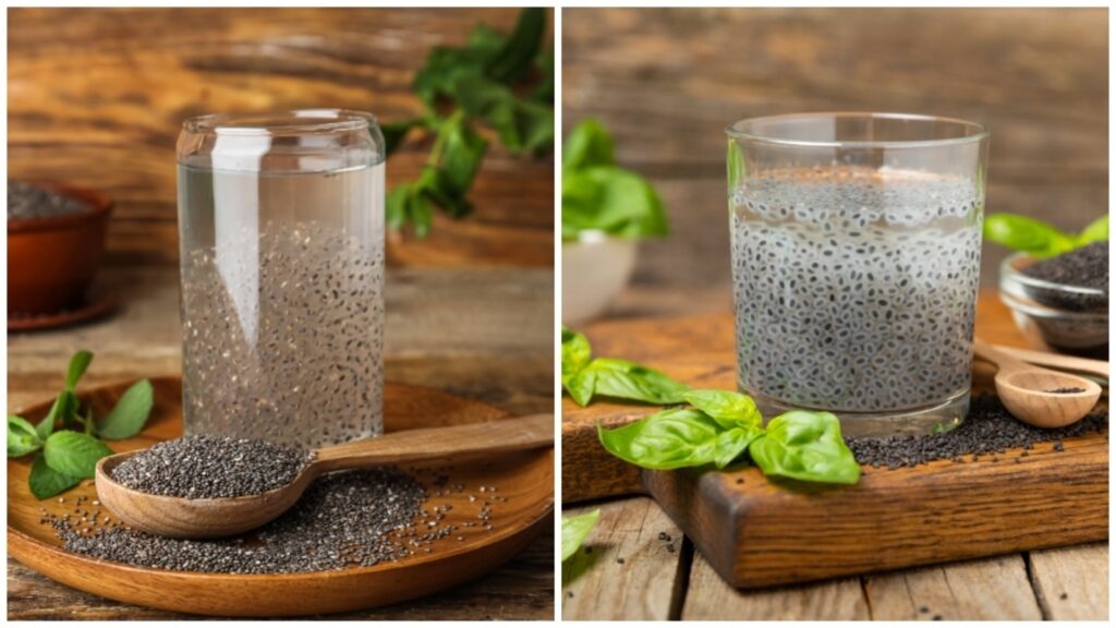 সুস্বাস্থ্যের জন্য গ্রীষ্মকালে চিয়া ও সাবজা বীজ খাওয়ার সময় এই ভুলগুলো অবশ্যই এড়িয়ে চলবেন, জানুন