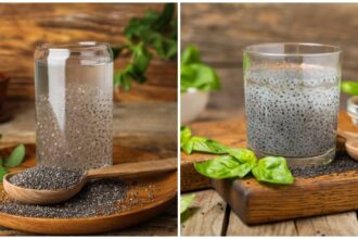 সুস্বাস্থ্যের জন্য গ্রীষ্মকালে চিয়া ও সাবজা বীজ খাওয়ার সময় এই ভুলগুলো অবশ্যই এড়িয়ে চলবেন, জানুন