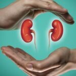 অতিরিক্ত প্রোটিন গ্রহণ কীভাবে কিডনির ক্ষতি করে? বিশেষজ্ঞদের কাছে জানুন