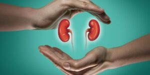 অতিরিক্ত প্রোটিন গ্রহণ কীভাবে কিডনির ক্ষতি করে? বিশেষজ্ঞদের কাছে জানুন