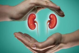 অতিরিক্ত প্রোটিন গ্রহণ কীভাবে কিডনির ক্ষতি করে? বিশেষজ্ঞদের কাছে জানুন