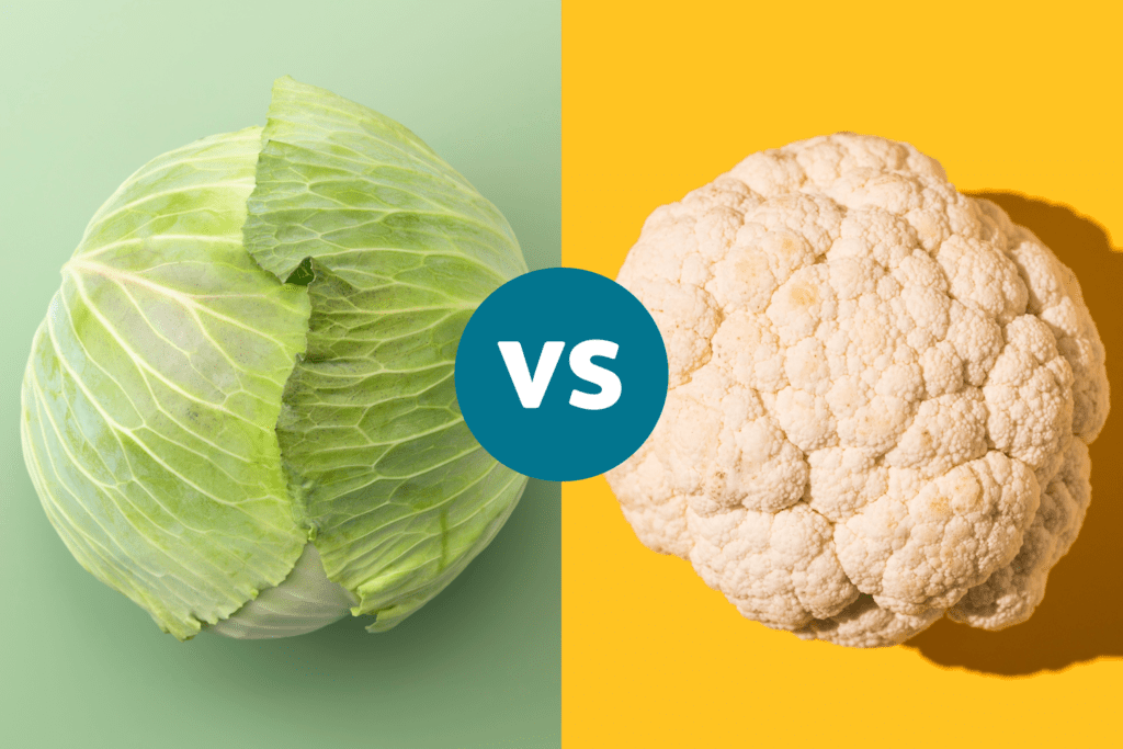 ফুলকপি নাকি বাঁধাকপি… কোনটিতে পুষ্টিগুণ বেশি এবং কোনটি খাওয়া অধিক উপকারী?