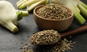 গ্রীষ্মকালে মৌরি কীভাবে আপনার পেট বা শরীরকে শীতল রাখে, জানুন