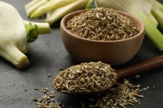 গ্রীষ্মকালে মৌরি কীভাবে আপনার পেট বা শরীরকে শীতল রাখে, জানুন