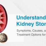 মূত্রথলির পাথর বনাম কিডনির পাথর: মূল পার্থক্য, লক্ষণ, কারণ এবং চিকিৎসা পদ্ধতির বিস্তারিত জানুন
