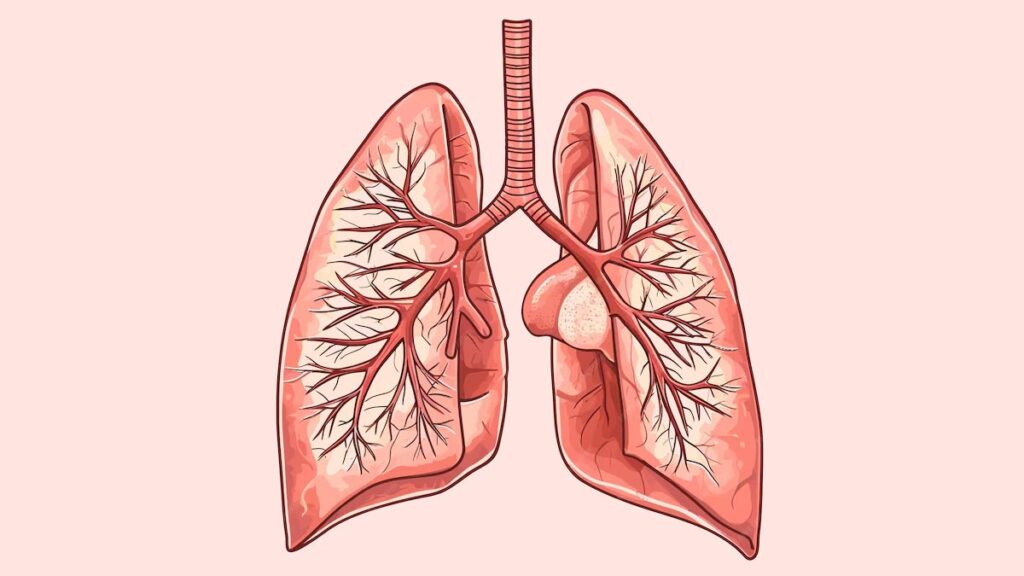দুর্বল ফুসফুস কীভাবে শক্তিশালী করবেন? একজন বিশেষজ্ঞের কাছে জানুন