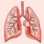 দুর্বল ফুসফুস কীভাবে শক্তিশালী করবেন? একজন বিশেষজ্ঞের কাছে জানুন