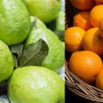 পেয়ারা বনাম কমলা: কোন ফলে ভিটামিন সি বেশি থাকে? উত্তরটি আপনাকে অবাক করতে পারে
