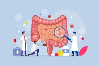 অন্ত্রের স্বাস্থ্য (Gut Health) বিষয়ক তথ্য: অন্ত্রের স্বাস্থ্য আসলে কী? প্রচলিত কিছু ভুল ধারণাগুলো আপনার ক্ষতি করতে পারে