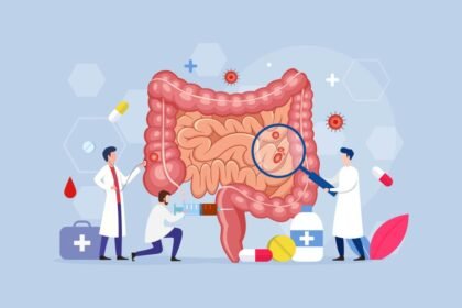 অন্ত্রের স্বাস্থ্য (Gut Health) বিষয়ক তথ্য: অন্ত্রের স্বাস্থ্য আসলে কী? প্রচলিত কিছু ভুল ধারণাগুলো আপনার ক্ষতি করতে পারে