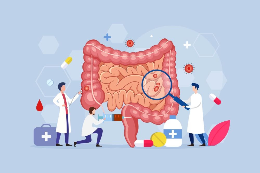 অন্ত্রের স্বাস্থ্য (gut health) বিষয়ক তথ্য: অন্ত্রের স্বাস্থ্য আসলে কী? প্রচলিত কিছু ভুল ধারণাগুলো আপনার ক্ষতি করতে পারে