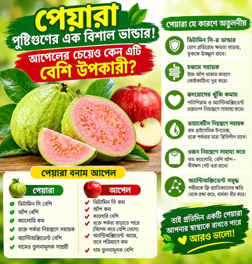 পেয়ারা পুষ্টিগুণের এক বিশাল ভাণ্ডার! আপেলের চেয়েও কেন এটি বেশি উপকারী?